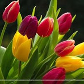 Katie Thomason's photo
