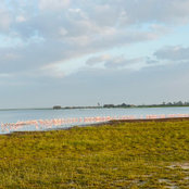 Foto von Phani Chavali