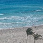 Sandy Sajewich Johnson's photo