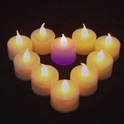 Karen Morrison's photo