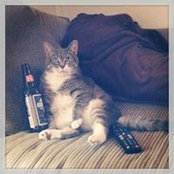 Taylor Bergen's photo