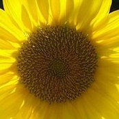 Wendy Corkhum's photo