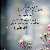 Amira Elkholy's photo