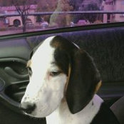 Gail Norvelle's photo