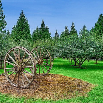 7535 highway 20 Anacortes Scimitar Ranch