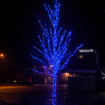 Branch Wrapping