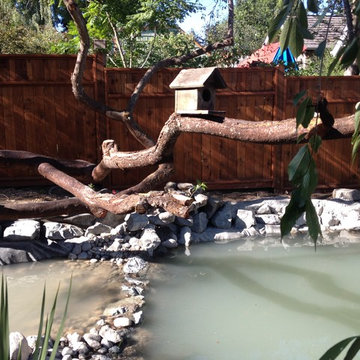 Zen Water project - ongoing