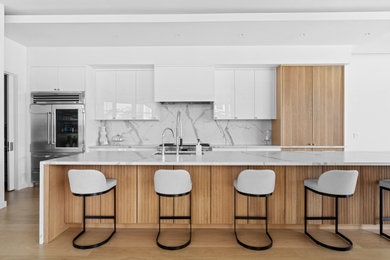Inspiration for a modern kitchen remodel in Other