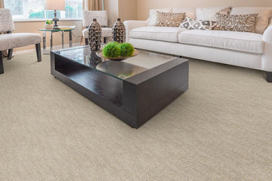 Living room - mid-sized contemporary formal and enclosed carpeted living room idea in Denver with beige walls and a wall-mounted tv