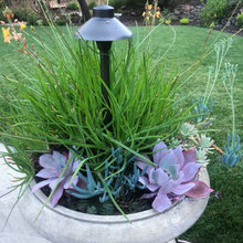 Yard - Patio - Lghting
