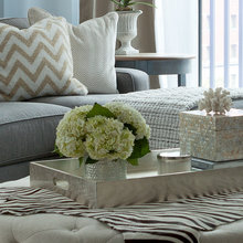 Living Room Ideas