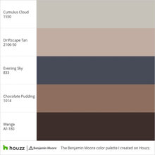 Color Palettes