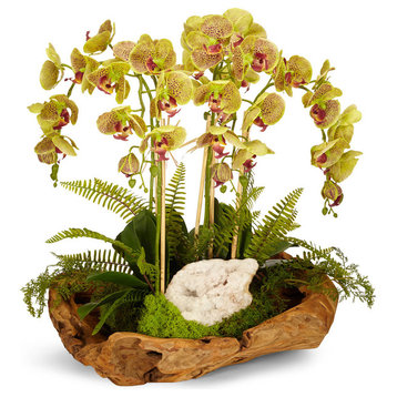 Orchid and Geode in Wood Bowl, Green