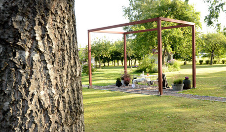 Experten inreder sin höstträdgård med färg och en ny pergola