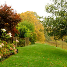 Gardens And Paths