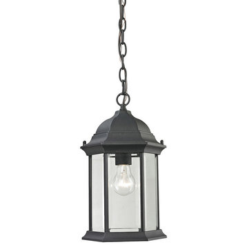 Thomas Lighting Spring Lake 1-Lt Hanging Light 8601EH/65 - Matte Textured Black