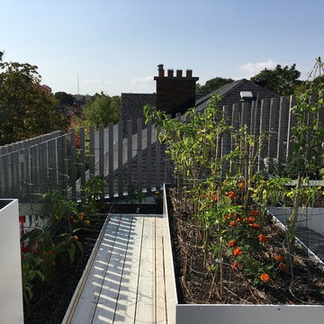 Urban Farm