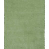 3'X5' Spearmint Green Indoor Shag Rug