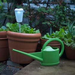 Watering Can and Solar Lights - Watering Cans