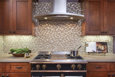 Kitchen - traditional kitchen idea in San Francisco