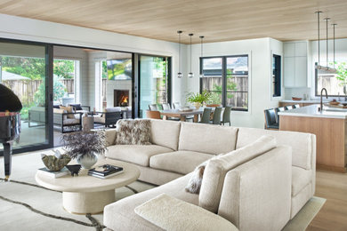 Example of a mid-sized trendy light wood floor and wood ceiling living room design in San Francisco