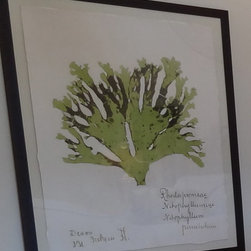 Green Coral Art - Artwork