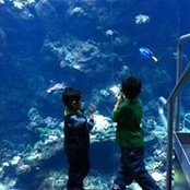 Hongying Wu's photo