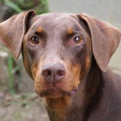 Ron Oswald's photo