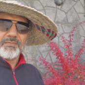 Hamid Ghorbani's photo