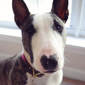 Shelley Barnes's photo