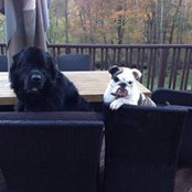 Allison Freeman's photo