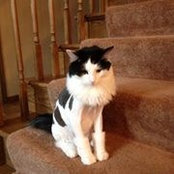 Kathy Erickson's photo