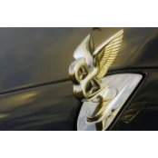 Bryan Lusco's photo