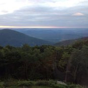 Pat Jones's photo