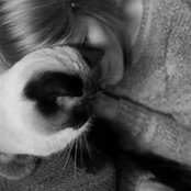 Iva Dahan's photo