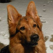 Foto von Debbie Suggitt
