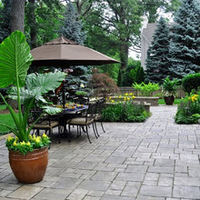 Fire Pit and Patio