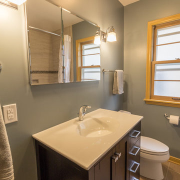 Project 3238-1 South Minneapolis Bathroom