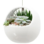 Arcadia Garden Products - Ceramic Air Planter, Basket Style, 4.5x4.5", Glossy White - Arcadia Garden Products Basket Air Planters are a unique and aesthetic way to grow your delicate air plants, succulents or cactus. They make great small item organizers such as candy, school and office supplies. These come ready to hang making an easy addition inside or outside. A perfect accessory to the patio, the garden, or for fresh herbs in the kitchen.