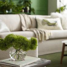 Green Living Room