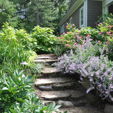 Landscape Ideas