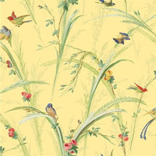 Wish List