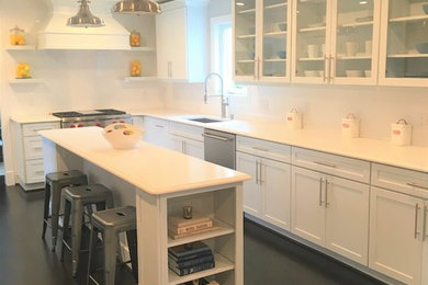 Inspiration for a contemporary kitchen remodel in DC Metro