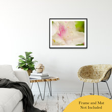 Prints