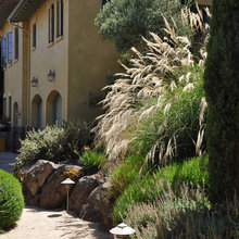 Front rock garden