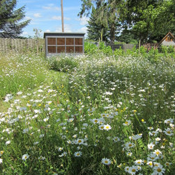 Wildflower meadow - Products