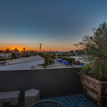 Venice Beach architectural modern with rooftop deck