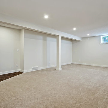 Glenwood Basement Renovation