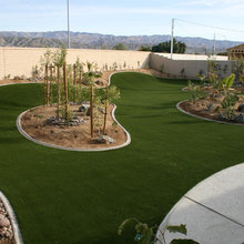 Yard & Landscapes