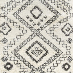 Southwestern Area Rugs by Home Brands USA